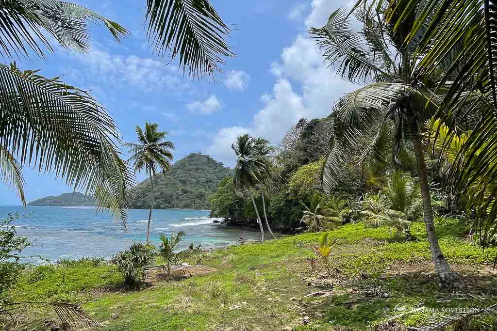 Land in Colon - Gallery image 7
