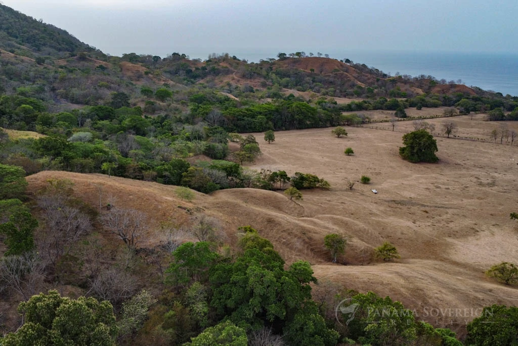 Land in Cambutal - Gallery image 2