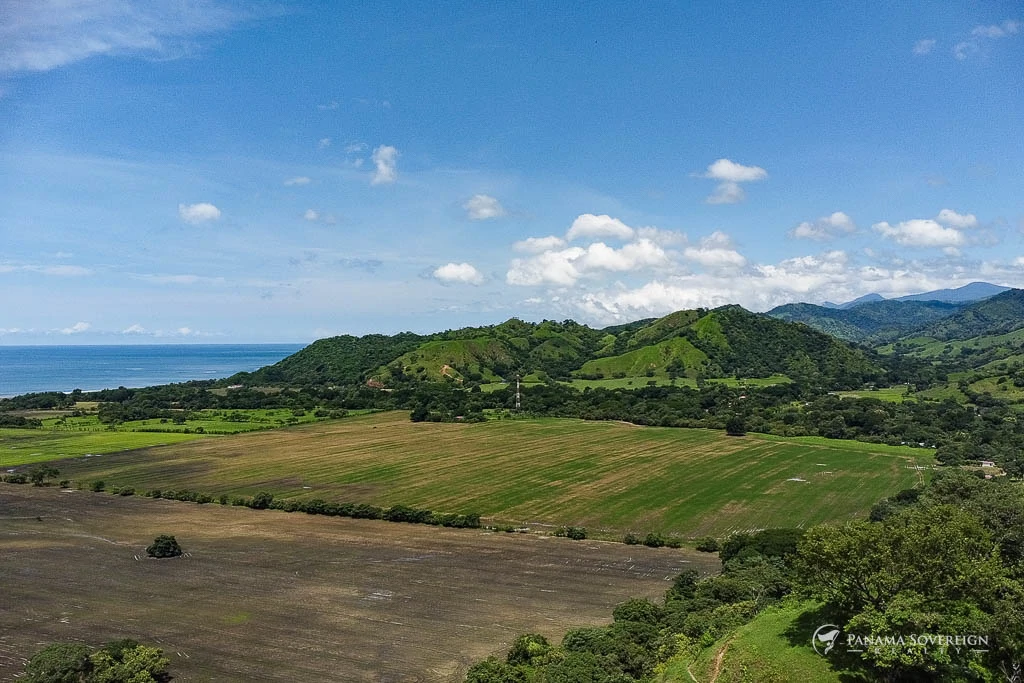 Land in Cambutal - Gallery image 2