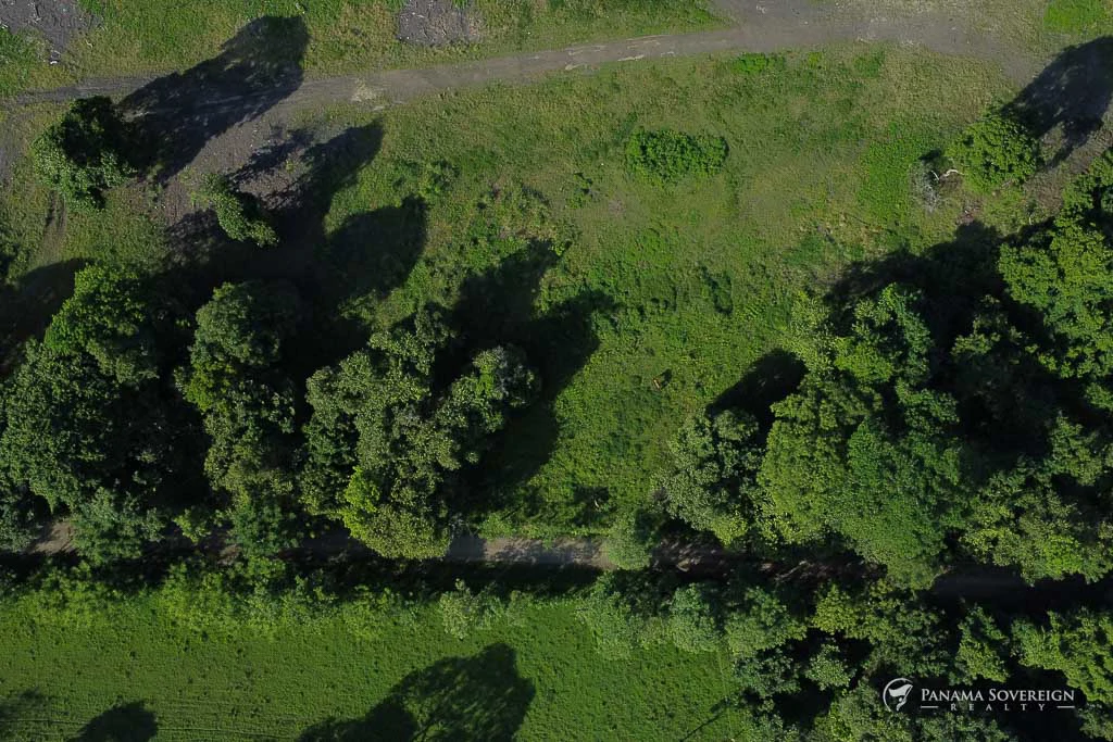 Land in Cambutal - Gallery image 6