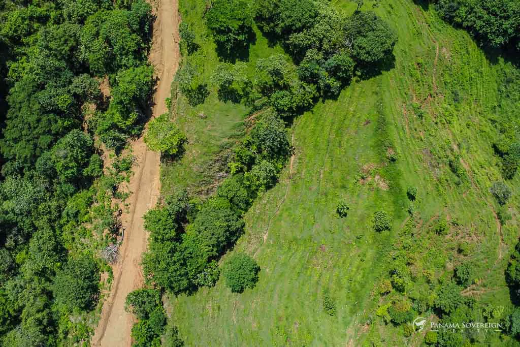 Land in Cambutal - Gallery image 8