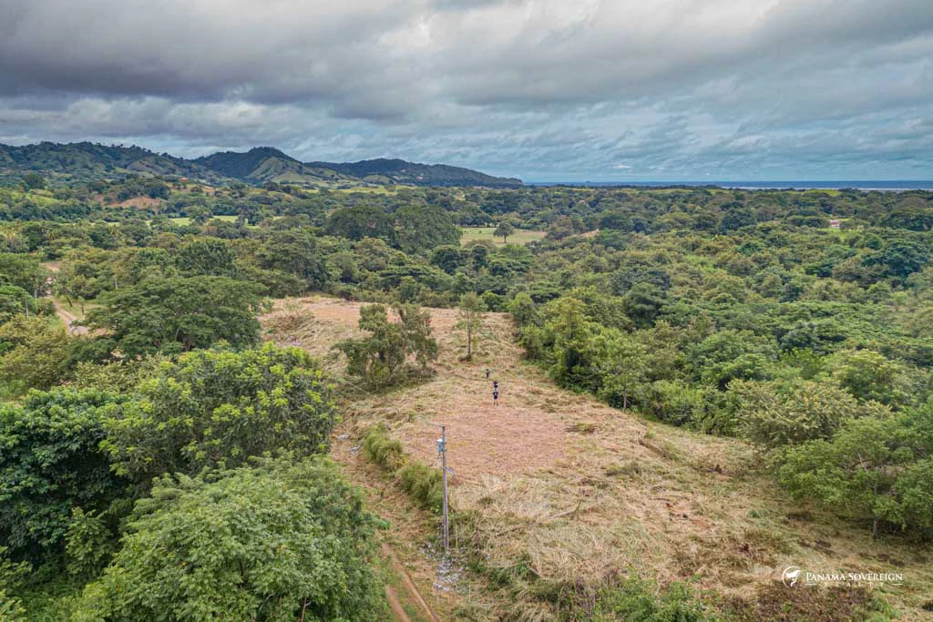 Land in Canas - Gallery image 18