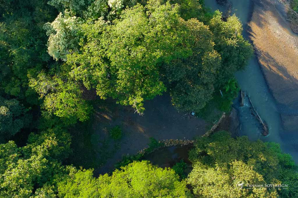 Land in Guanico - Gallery image 10