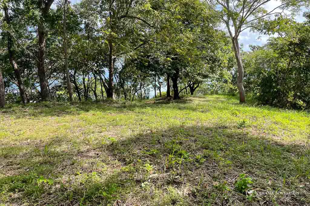 Land in Bucaro - Gallery image 7