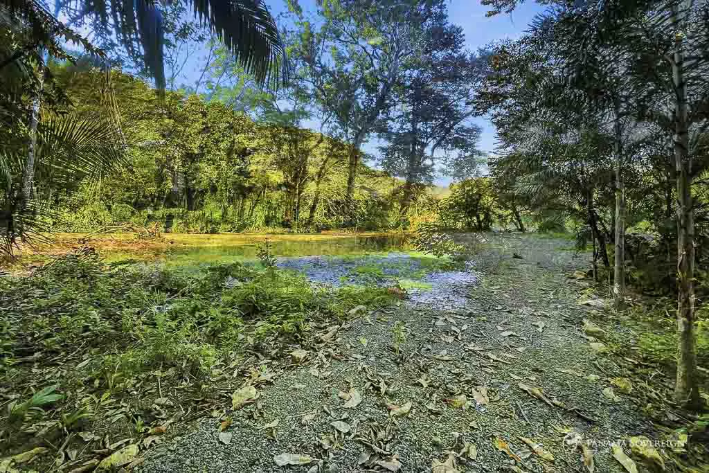 Land in Guanico - Gallery image 8