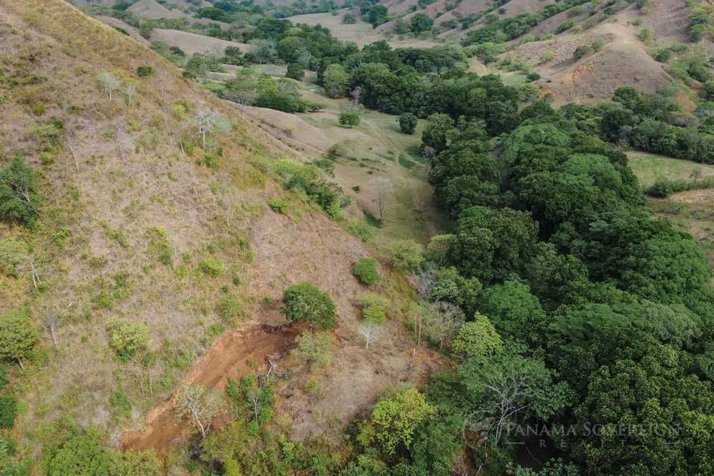 Land in Cambutal - Gallery image 8