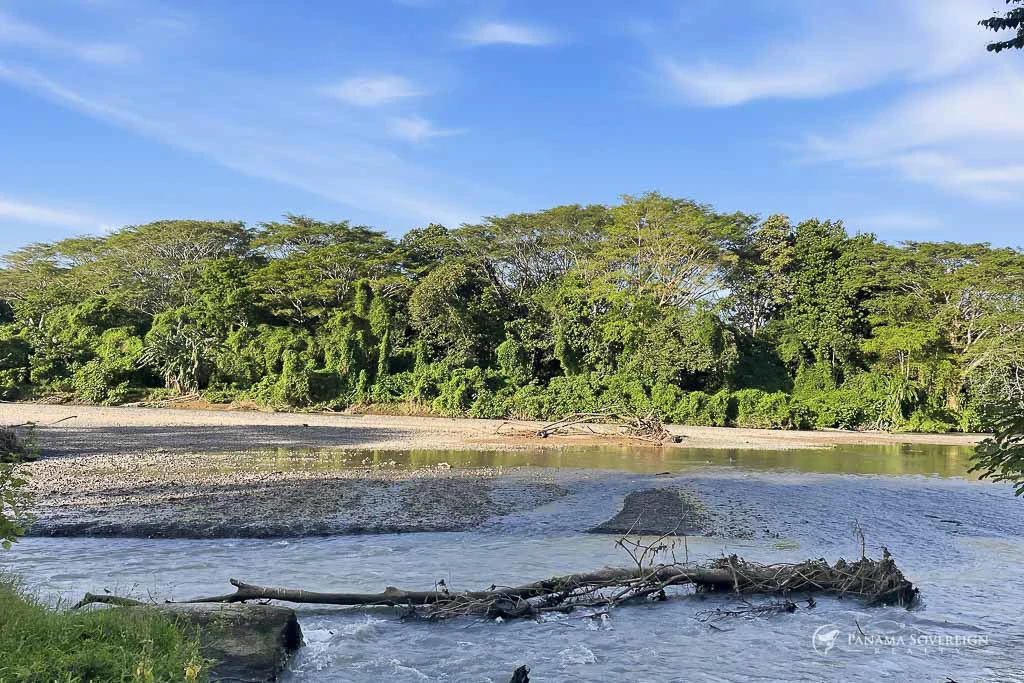 Land in Guanico - Gallery image 7