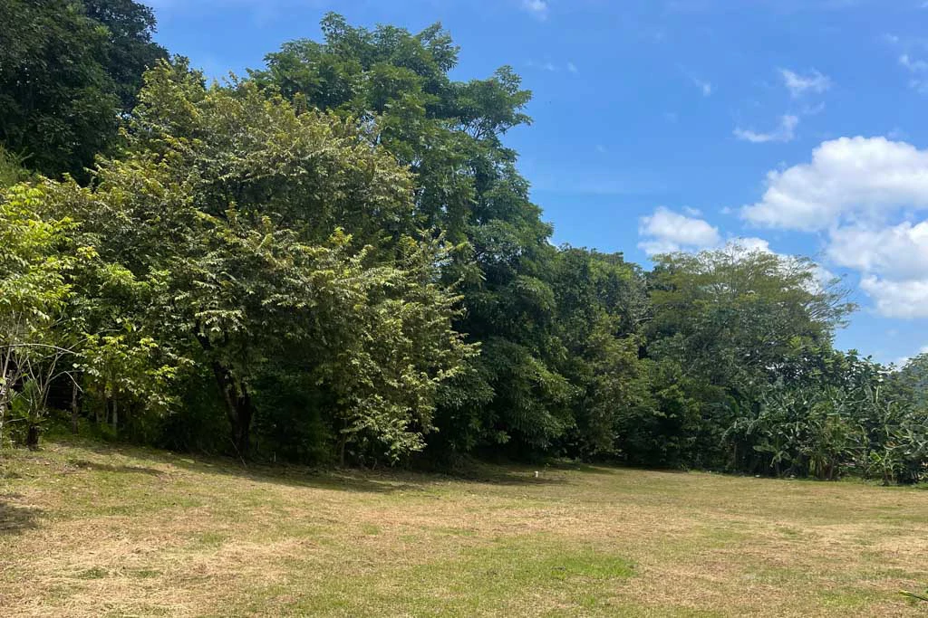 Land in Cambutal - Gallery image 10