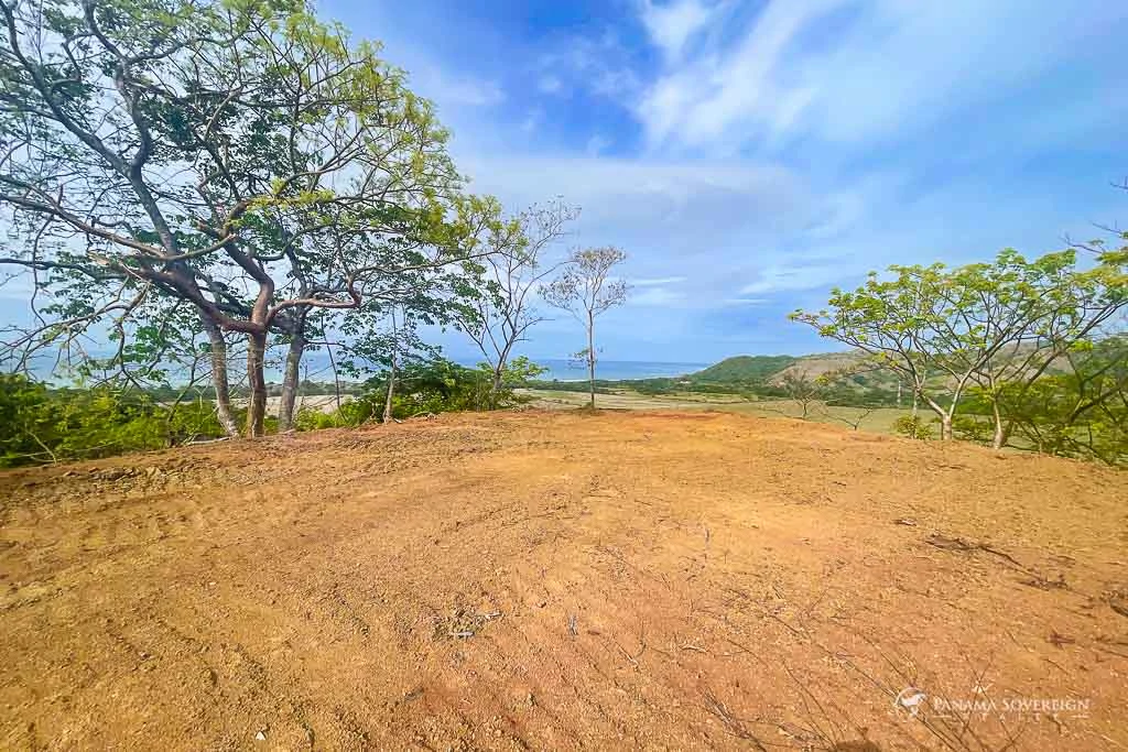 Land in Cambutal - Gallery image 11