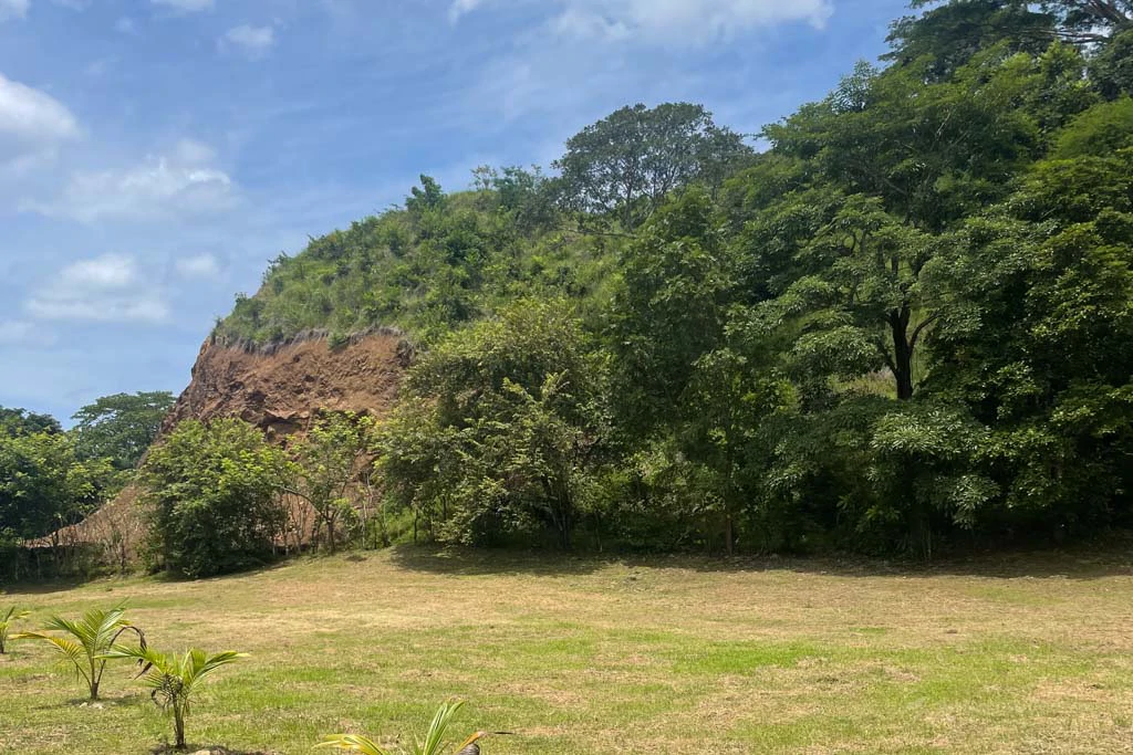 Land in Cambutal - Gallery image 9