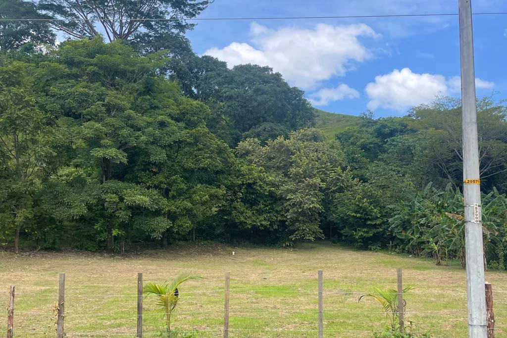 Land in Cambutal - Gallery image 3