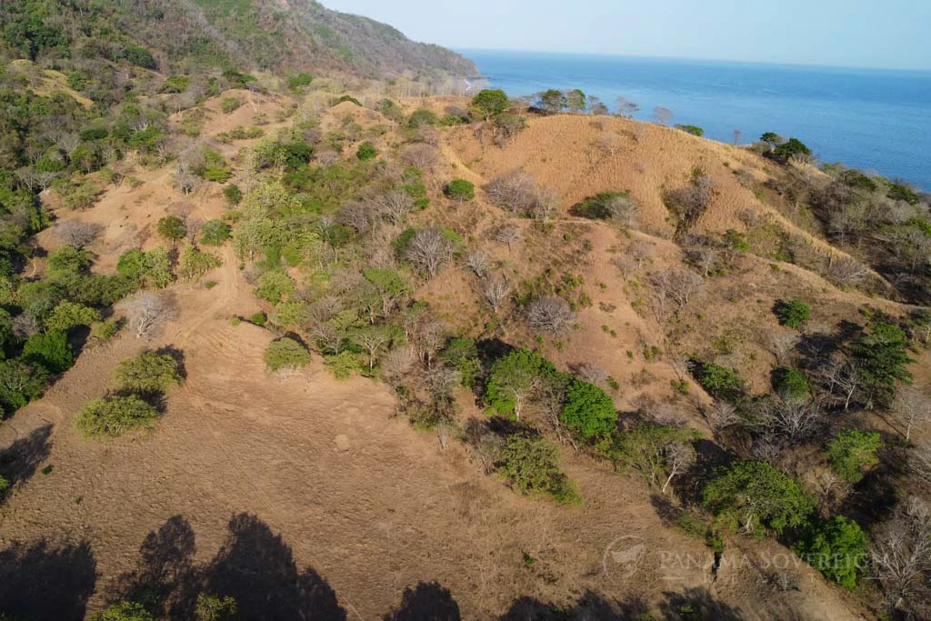 Land in Cambutal - Gallery image 11