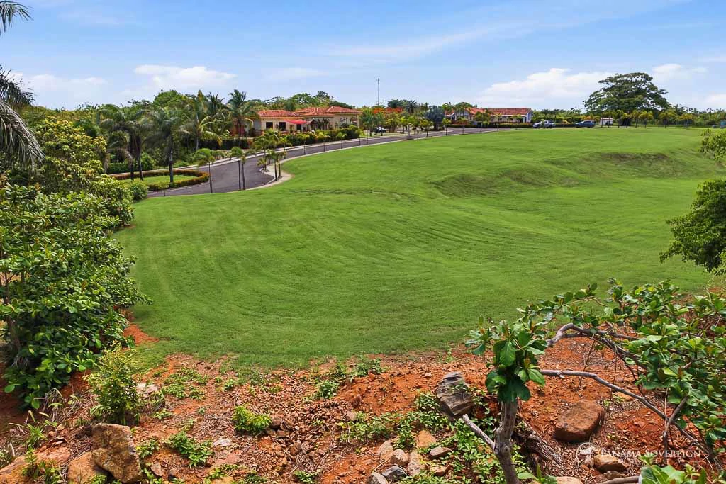 Land in Pedasi - photo 15