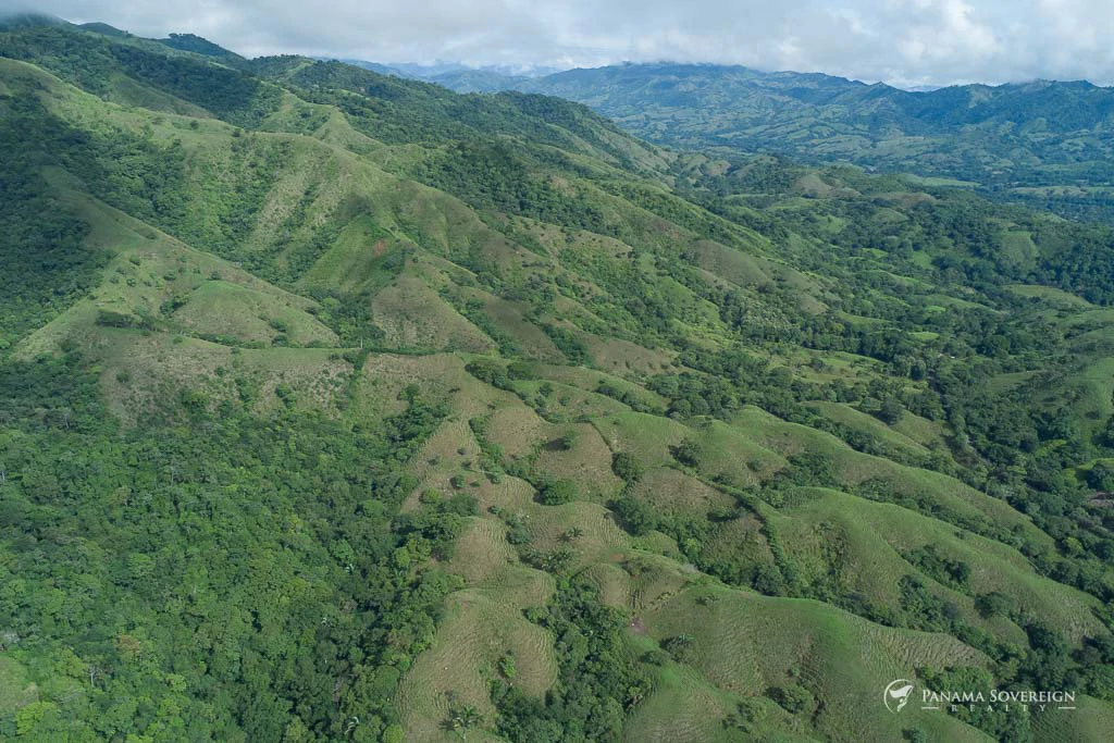 Land in Cambutal - Gallery image 5
