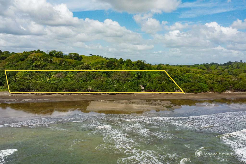 Land in Guanico - Gallery image 8