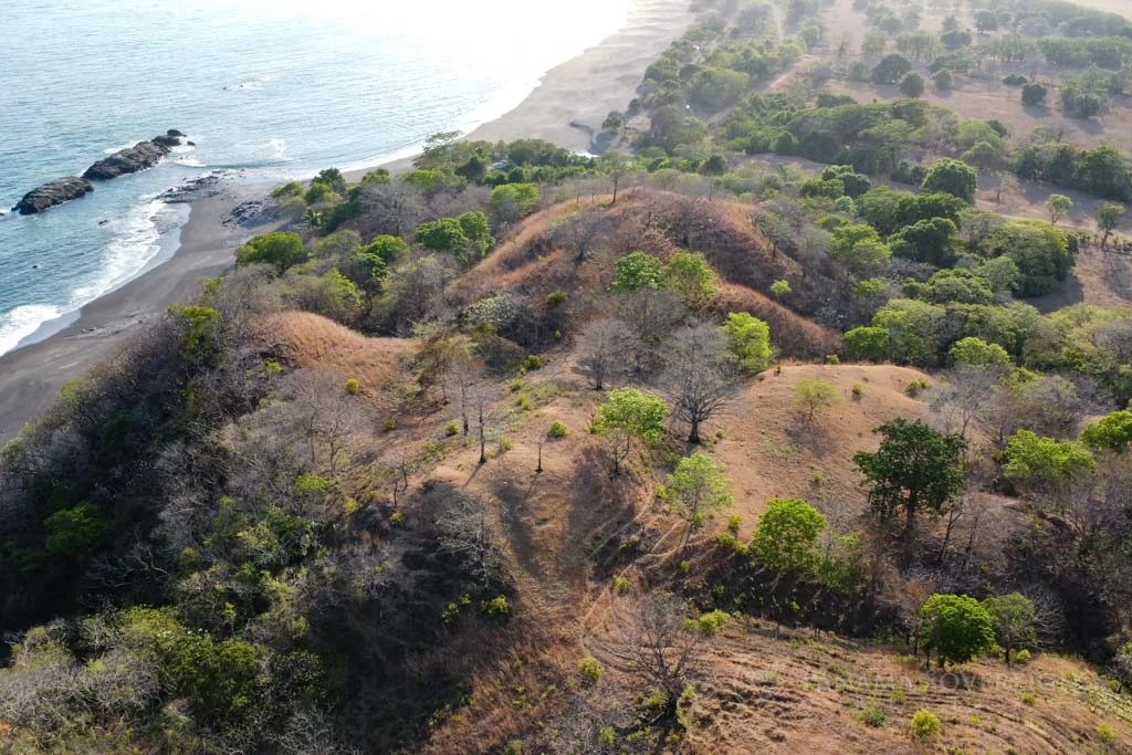 Land in Cambutal - Gallery image 7