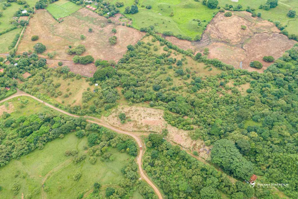 Land in Canas - Gallery image 5