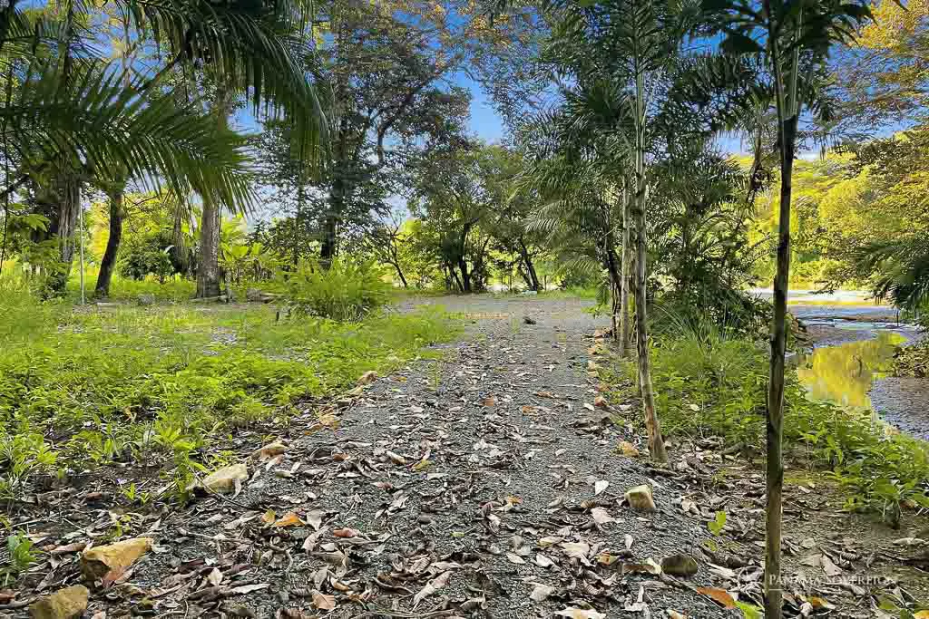 Land in Guanico - Gallery image 9