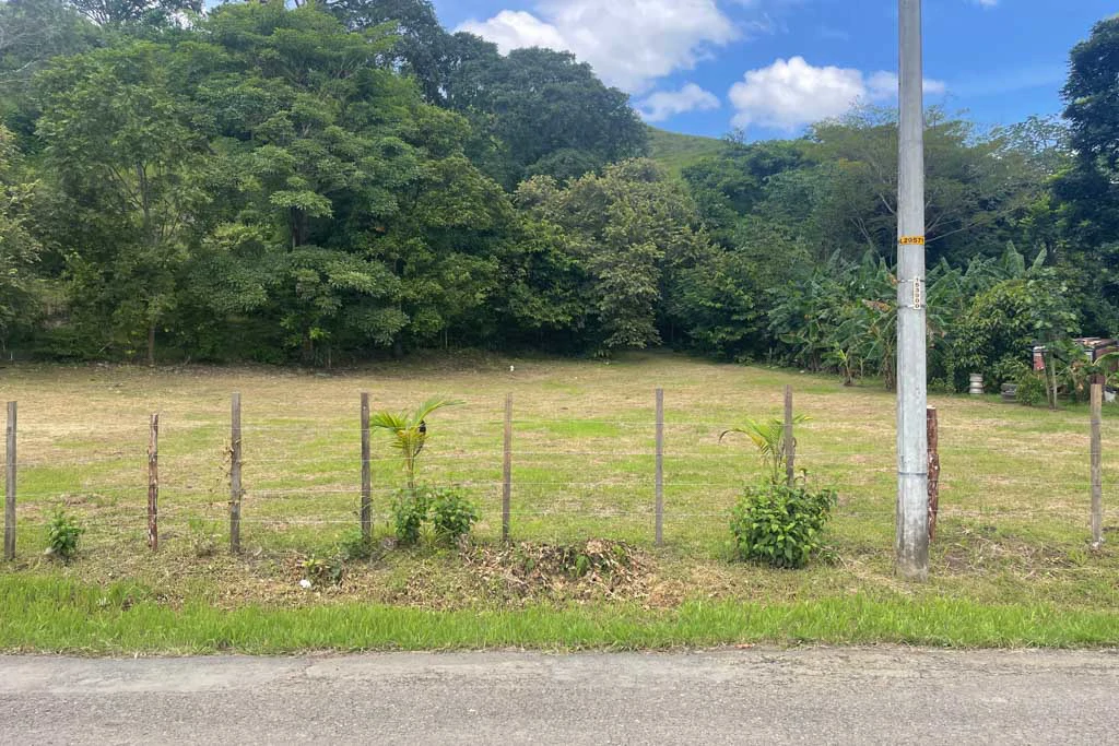Land in Cambutal - Gallery image 4