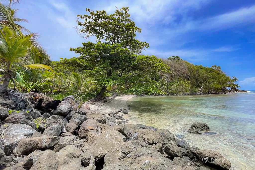 Land in Colon - Gallery image 15