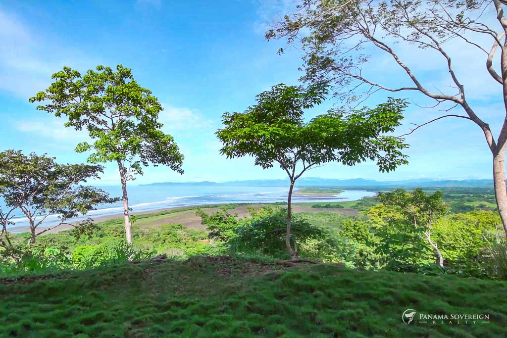 Land in Canas - Gallery image 5