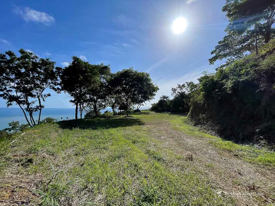 Land in Bucaro - Gallery image 12