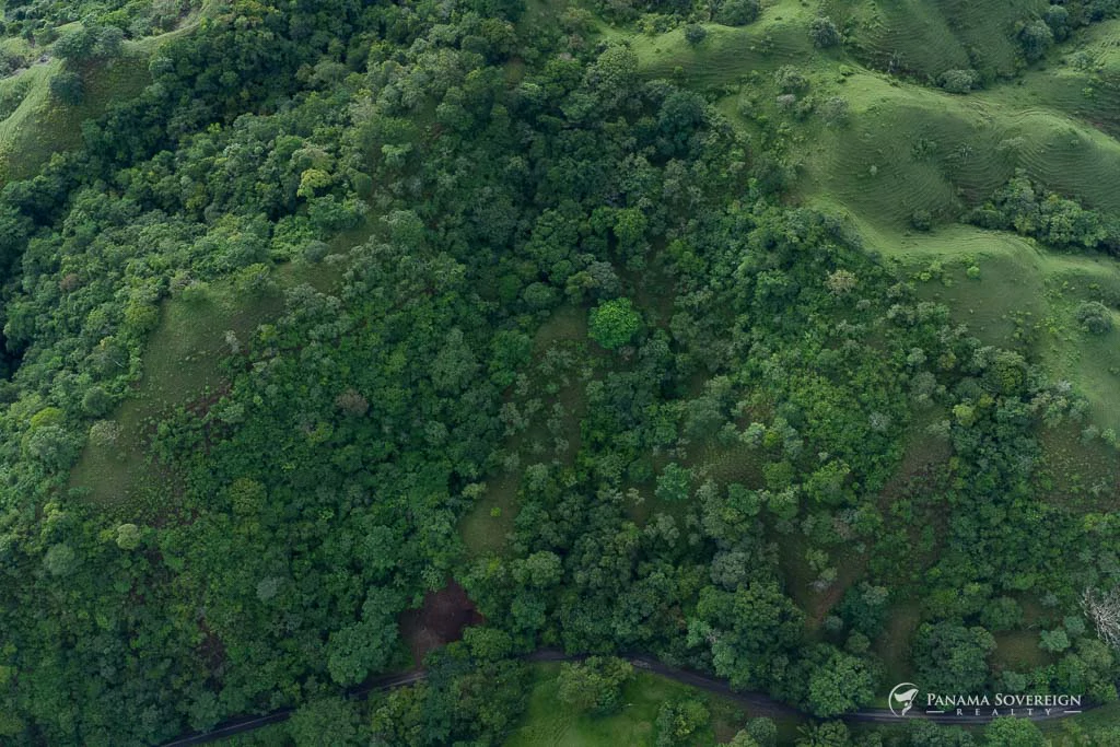 Land in Cambutal - Gallery image 5