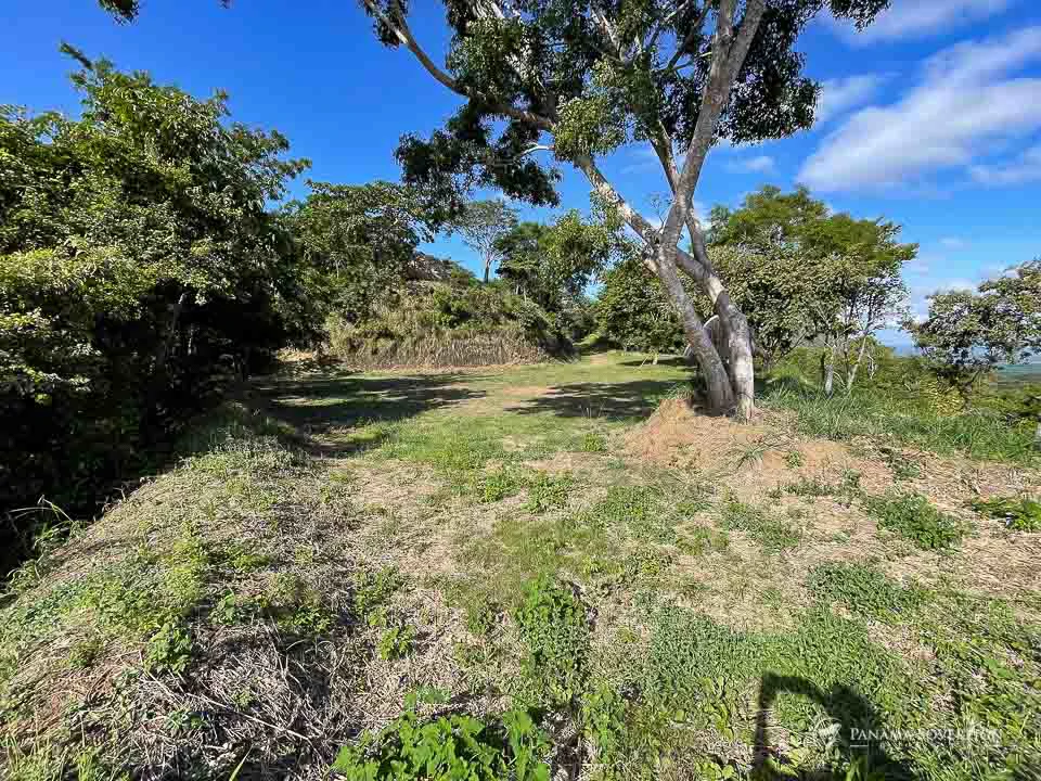 Land in Bucaro - Gallery image 17
