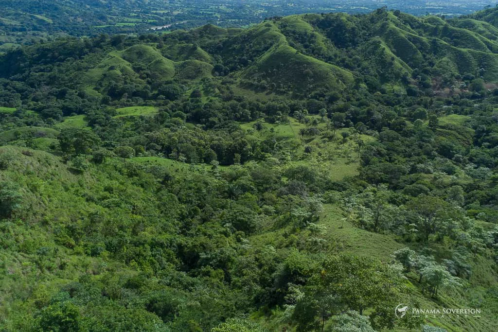 Land in Cambutal