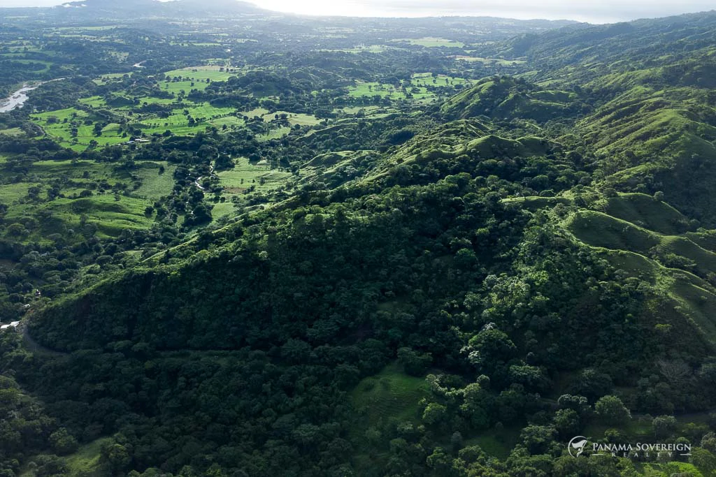 Land in Cambutal - Gallery image 6