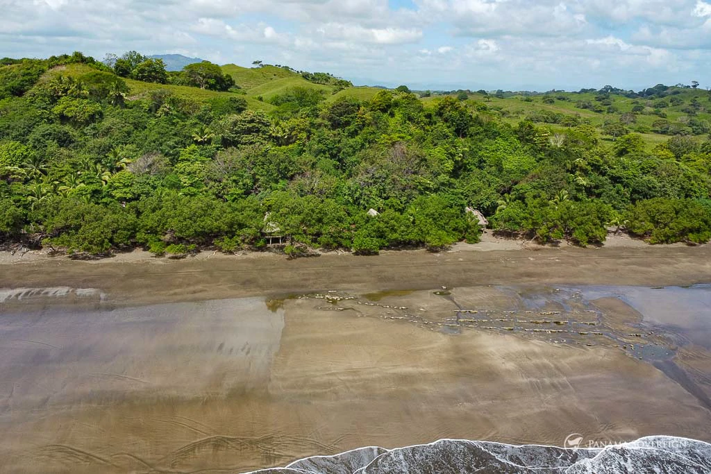 Land in Guanico - Gallery image 14