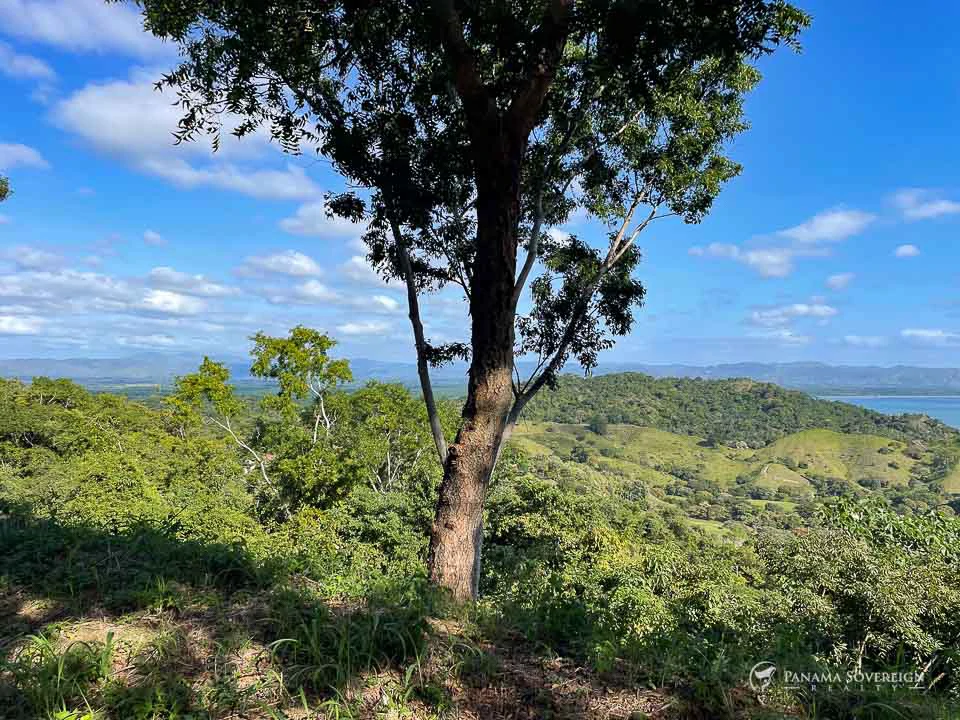 Land in Bucaro - Gallery image 15