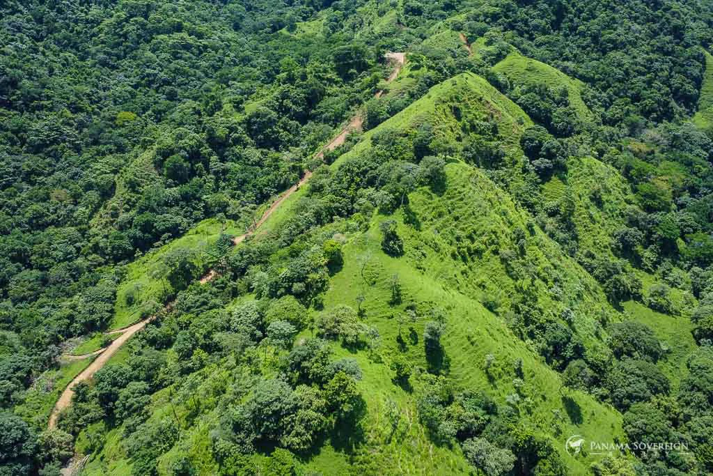 Land in Cambutal - Gallery image 26