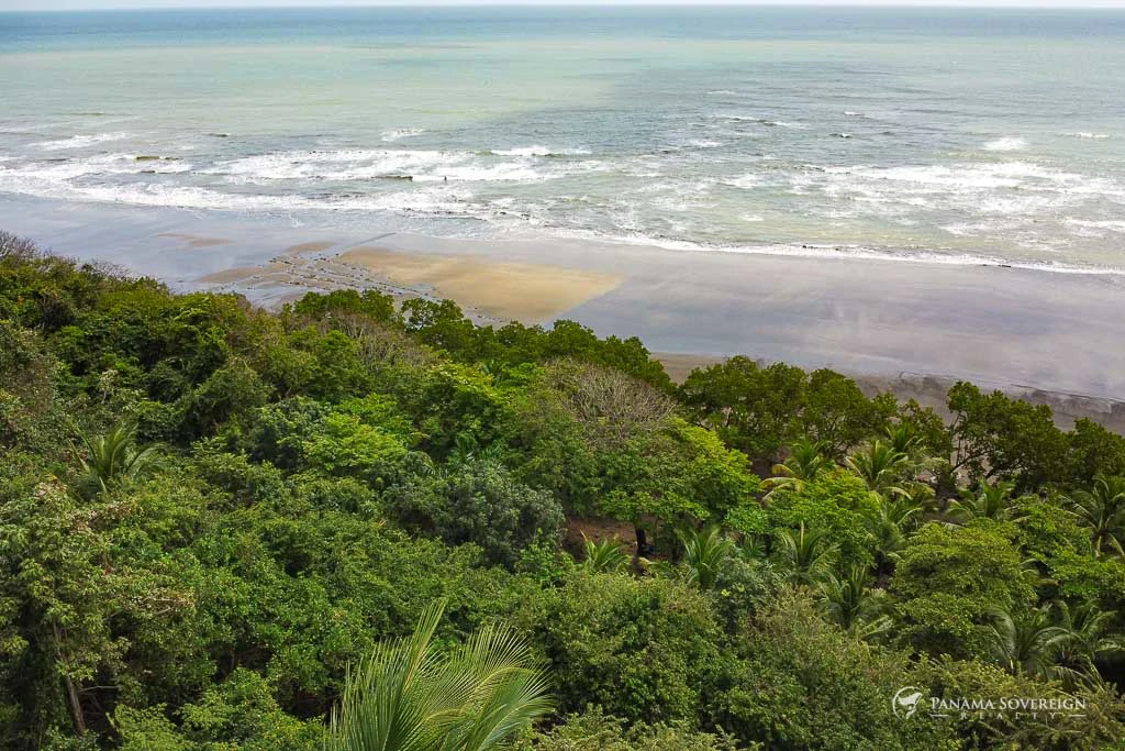 Land in Guanico - Gallery image 7