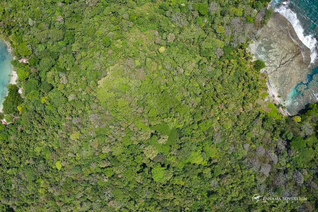 Land in Colon - Gallery image 13