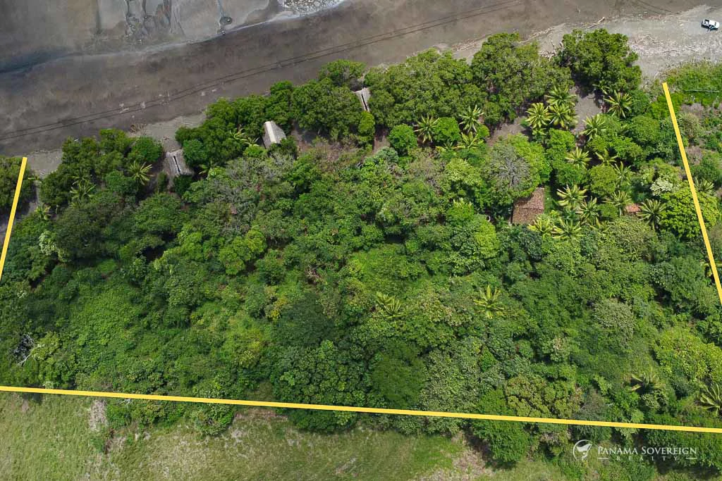 Land in Guanico - Gallery image 6
