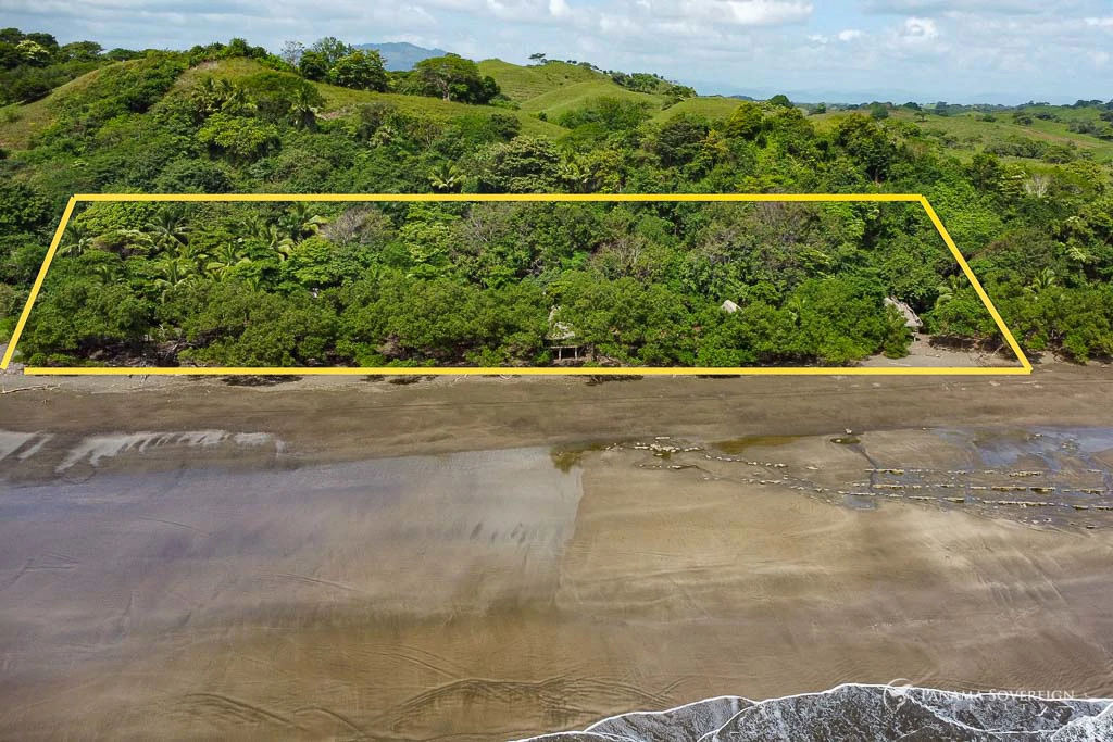 Land in Guanico - Gallery image 9