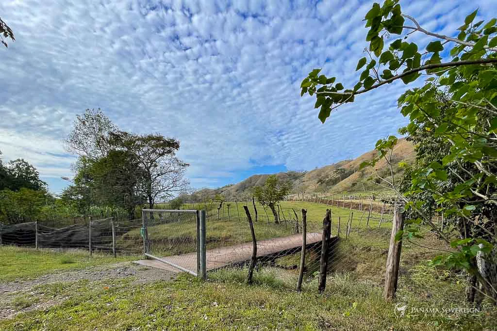 Land in Cambutal - Gallery image 2