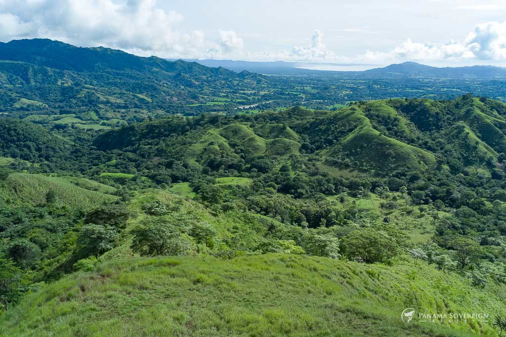 Land in Cambutal - Gallery image 4