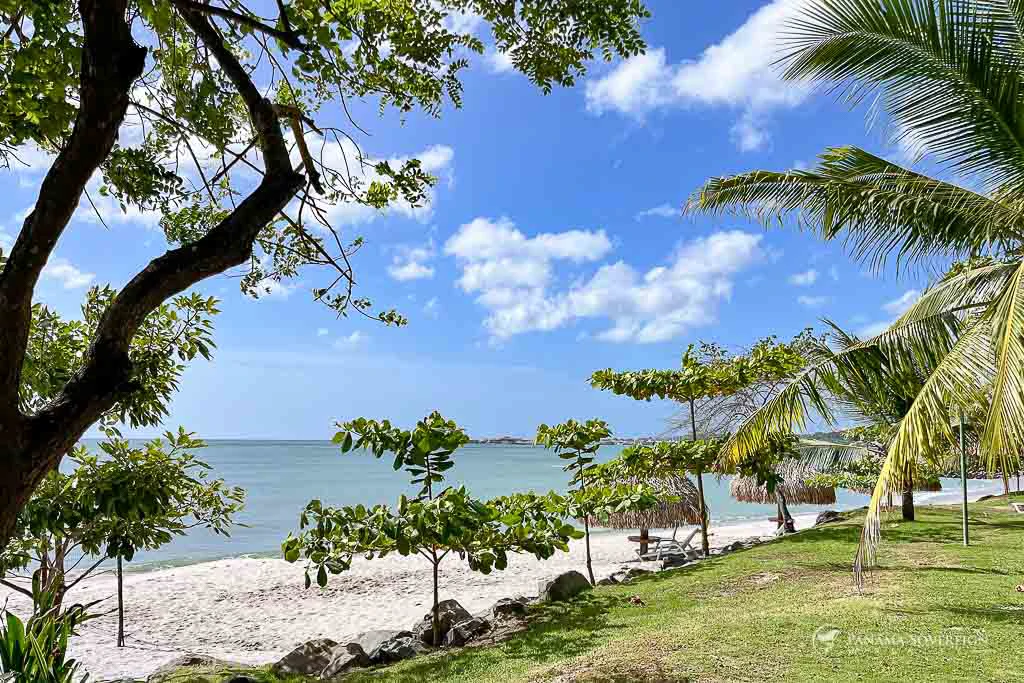 2 Bedroom Condo in San Carlos - Gallery image 19