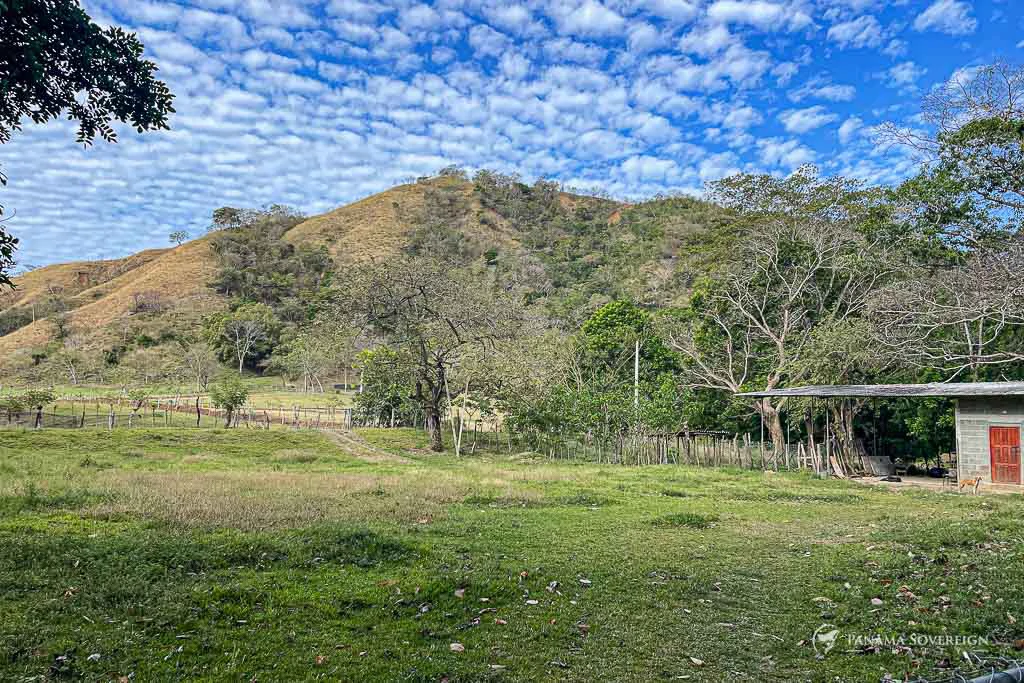 Land in Cambutal - Gallery image 3