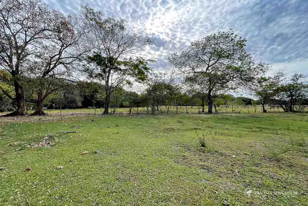 Land in Cambutal - Gallery image 14