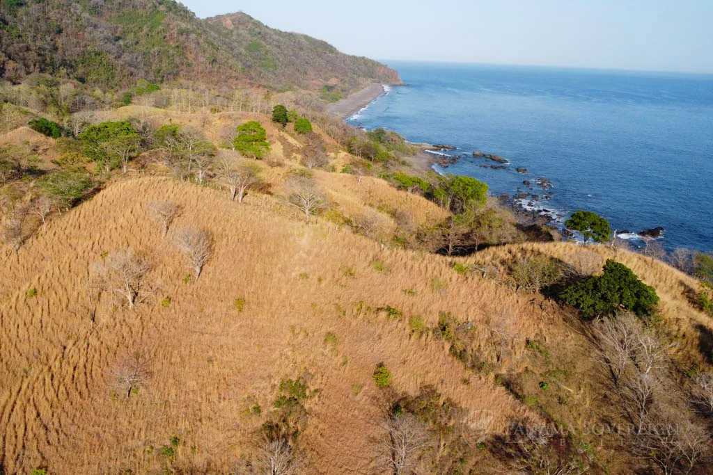 Land in Cambutal - Gallery image 10