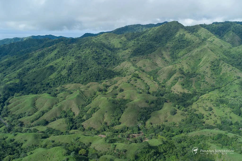 Land in Cambutal - Gallery image 6