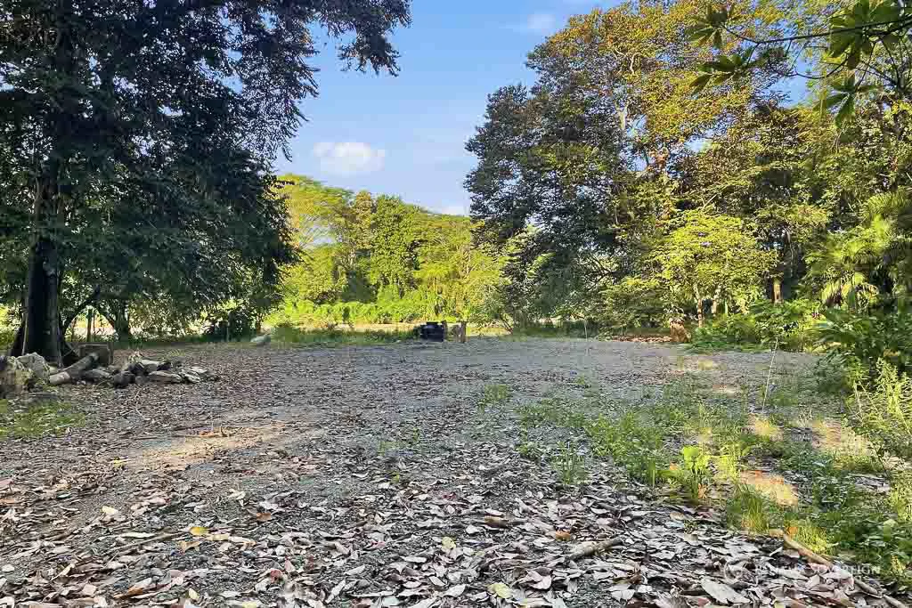 Land in Guanico - Gallery image 5