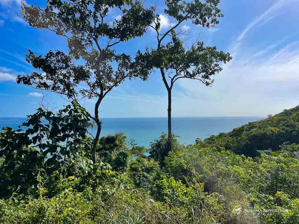 Land in Bucaro - Gallery image 16