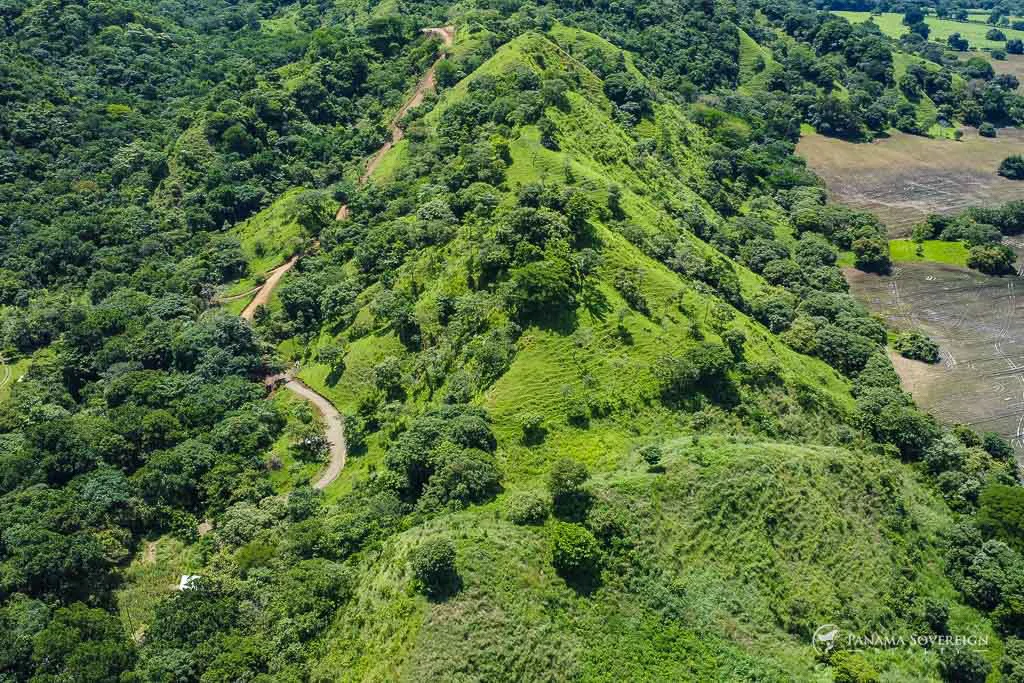 Land in Cambutal - Gallery image 6