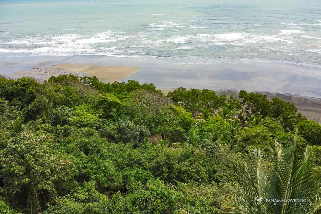 Land in Guanico - Gallery image 11