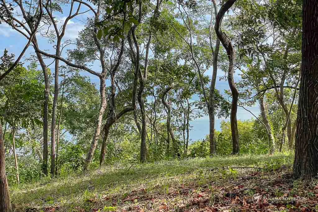 Land in Bucaro - Gallery image 9