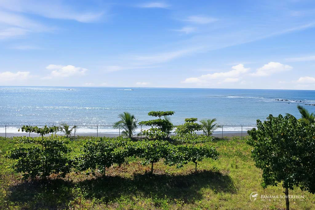 Land in Cambutal - Gallery image 12